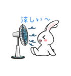 うさぎサマー 毎日スタンプ（個別スタンプ：24）