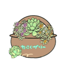 多肉植物part1だわさ。（個別スタンプ：10）