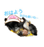 れお③（個別スタンプ：8）