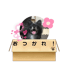 れお③（個別スタンプ：9）