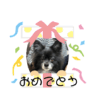 れお③（個別スタンプ：12）