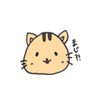 たれめめちゃんず（個別スタンプ：16）