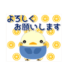 小鳥大好きな人のことり大集合（夏編） 2.1（個別スタンプ：14）