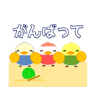 小鳥大好きな人のことり大集合（夏編） 2.1（個別スタンプ：24）