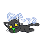 くろねこちやんの日常（個別スタンプ：14）