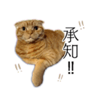 ふく ＊asachi（個別スタンプ：3）