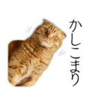 ふく ＊asachi（個別スタンプ：10）