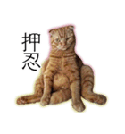 ふく ＊asachi（個別スタンプ：13）