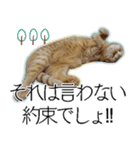 ふく ＊asachi（個別スタンプ：14）