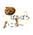 ふく ＊asachi（個別スタンプ：17）