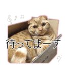 ふく ＊asachi（個別スタンプ：18）