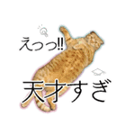 ふく ＊asachi（個別スタンプ：24）