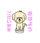 完全網羅 デカ文字 『うちのアナちゃん』（個別スタンプ：1）