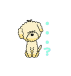 完全網羅 デカ文字 『うちのアナちゃん』（個別スタンプ：3）