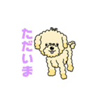 完全網羅 デカ文字 『うちのアナちゃん』（個別スタンプ：5）