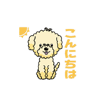 完全網羅 デカ文字 『うちのアナちゃん』（個別スタンプ：12）