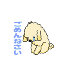 完全網羅 デカ文字 『うちのアナちゃん』（個別スタンプ：13）