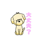 完全網羅 デカ文字 『うちのアナちゃん』（個別スタンプ：16）