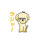 完全網羅 デカ文字 『うちのアナちゃん』（個別スタンプ：17）