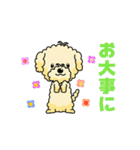 完全網羅 デカ文字 『うちのアナちゃん』（個別スタンプ：19）