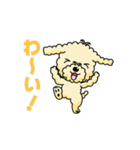 完全網羅 デカ文字 『うちのアナちゃん』（個別スタンプ：20）
