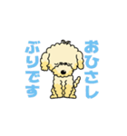 完全網羅 デカ文字 『うちのアナちゃん』（個別スタンプ：23）
