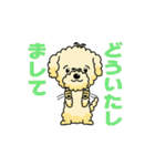 完全網羅 デカ文字 『うちのアナちゃん』（個別スタンプ：24）