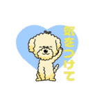 完全網羅 デカ文字 『うちのアナちゃん』（個別スタンプ：26）