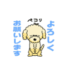 完全網羅 デカ文字 『うちのアナちゃん』（個別スタンプ：28）