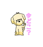 完全網羅 デカ文字 『うちのアナちゃん』（個別スタンプ：33）