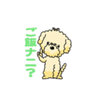 完全網羅 デカ文字 『うちのアナちゃん』（個別スタンプ：38）