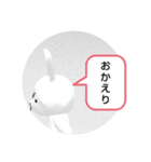 不機嫌なウサギ（個別スタンプ：15）