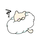 ふといしっぽのねこ（個別スタンプ：23）