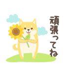 北欧柴犬の日常4 mush（個別スタンプ：36）