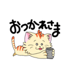 猫の兄弟日常会話（個別スタンプ：8）