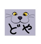 猫の兄弟日常会話（個別スタンプ：12）