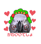 ヨウムのるいちゃんのおかしなスタンプ（個別スタンプ：3）