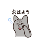 はなのつよいねこ（個別スタンプ：1）