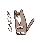 はなのつよいねこ（個別スタンプ：11）