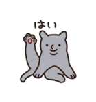 はなのつよいねこ（個別スタンプ：13）