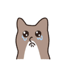 はなのつよいねこ（個別スタンプ：14）