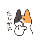 はなのつよいねこ（個別スタンプ：16）