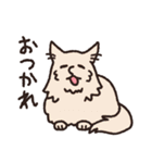はなのつよいねこ（個別スタンプ：17）