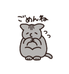 はなのつよいねこ（個別スタンプ：24）