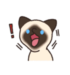 はなのつよいねこ（個別スタンプ：25）