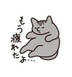 はなのつよいねこ（個別スタンプ：30）