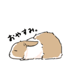 日常の片隅「うーちゃん」（個別スタンプ：2）
