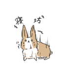 日常の片隅「うーちゃん」（個別スタンプ：4）