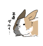 日常の片隅「うーちゃん」（個別スタンプ：20）