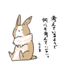 日常の片隅「うーちゃん」（個別スタンプ：24）